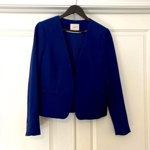 Ann Taylor Loft stunning dark blue blazer